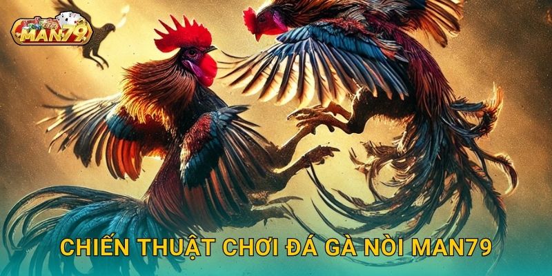Đá gà nòi thuần Việt – Sức mạnh và bản lĩnh tại Man79 3 Chiến thuật chơi Đá gà nòi Man79