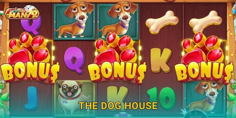 The Dog House – Săn quà cực vui cùng bầy cún đáng yêu tại Man79