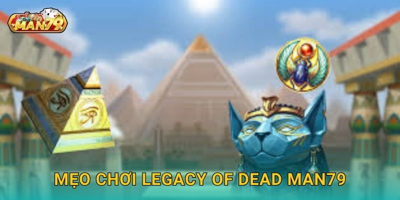 Legacy of Dead hồi sinh – Hành trình tái hiện kho báu tại Man79 3 Mẹo chơi Legacy of Dead Man79